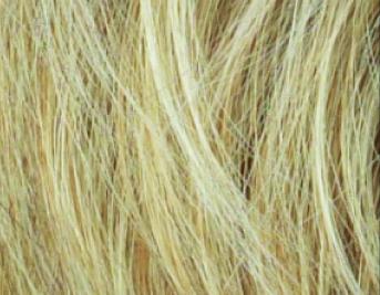 Festa (Ellen Willie Stimulate) - Wigs Online