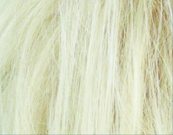 Festa (Ellen Willie Stimulate) - Wigs Online