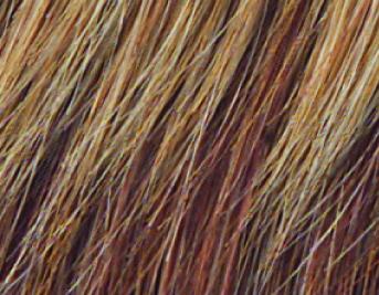 Festa (Ellen Willie Stimulate) - Wigs Online