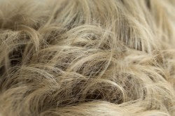 Hazel - Wigs Online
