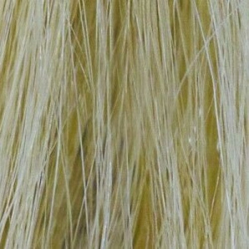 Remy HH Topper 14"