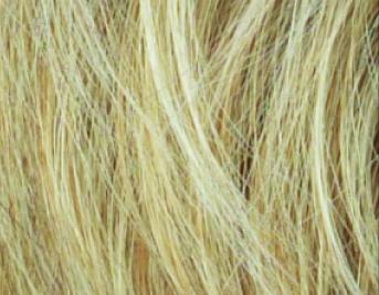 Inca Mono Lace - Ellen Willie Stimulate - Wigs Online