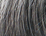 Dublin Plus (Ellen Willie Stimulate) - Wigs Online
