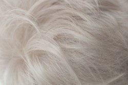 Blossom - Wigs Online