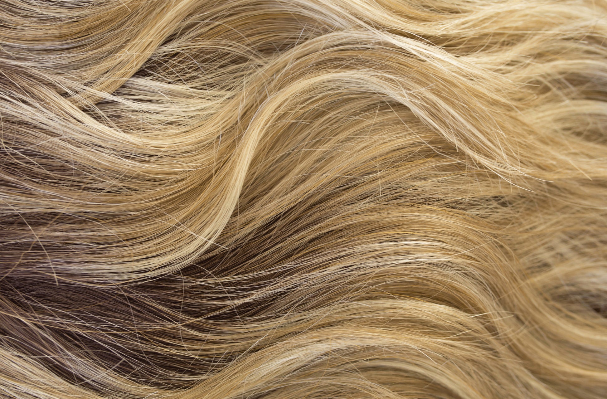 Taylor PM - Wigs Online