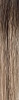 Angelica PM - Wigs Online