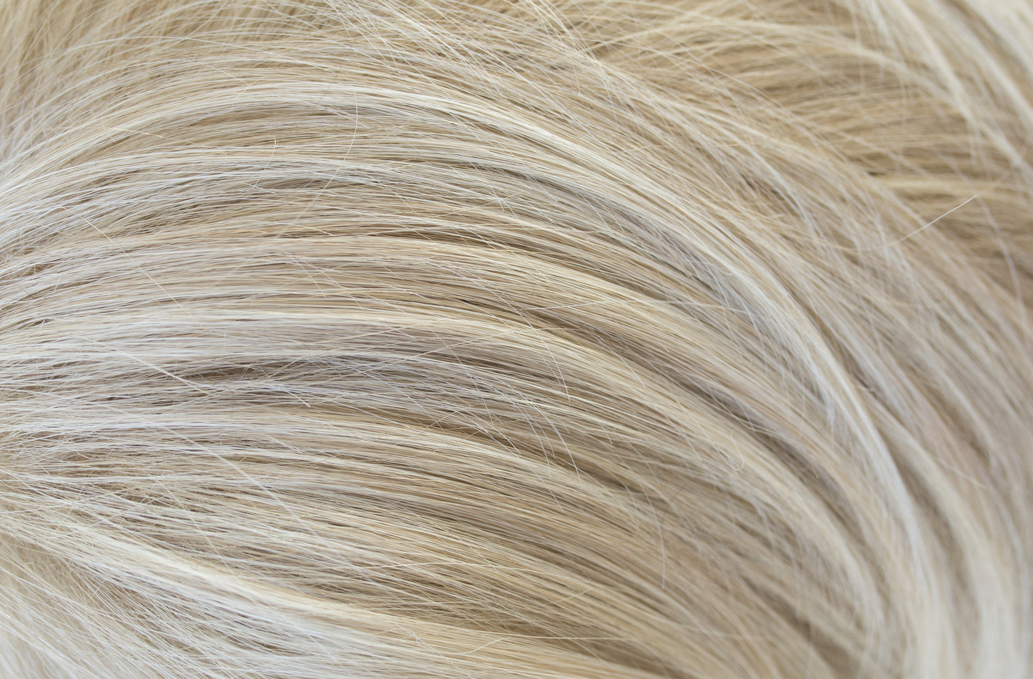 Taylor PM - Wigs Online
